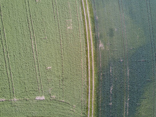 Aerial view of road in green fields