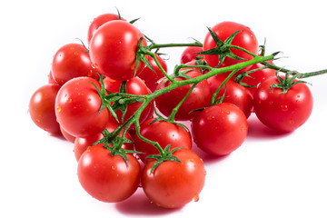 tomatoes