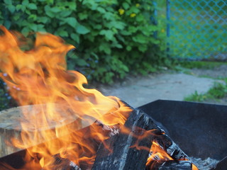 In the brazier burning firewood. At the picnic.