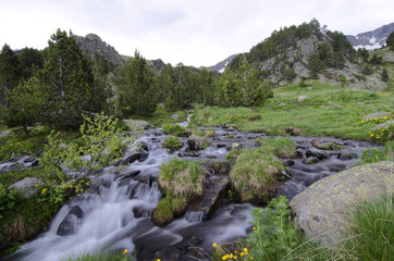 Parque Natural Valle de Sorteny (Andorra)