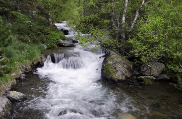 Parque Natural Valle de Sorteny (Andorra)