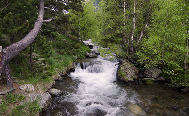 Obraz premium Parque Natural Valle de Sorteny (Andorra)