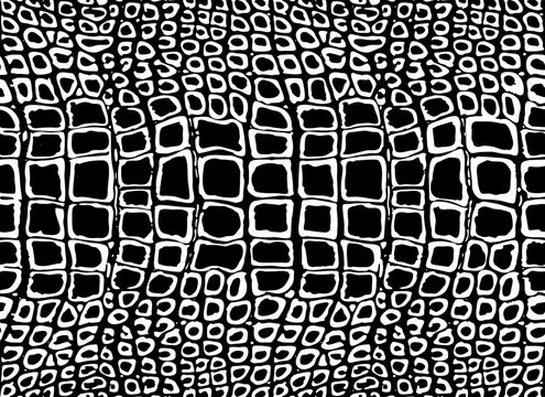 Pattern texture repeating seamless monochrome black and white. Crocodile skin. vector animal cobra, skin, pattern, snakeskin, python. Fashion, painting, abstract. Animal background
