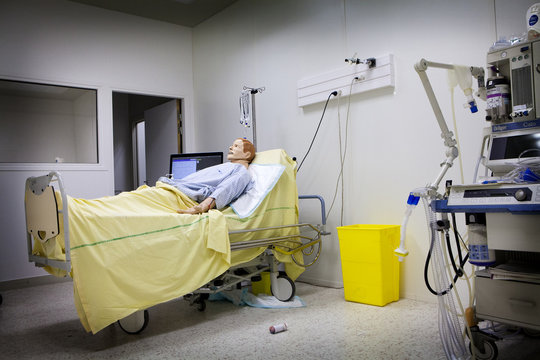 MANIKIN SIMULATION