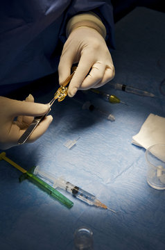 LENS IMPLANT