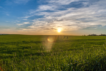 Blick in den Sonnenuntergang