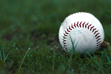 LOST HOME RUN BALL