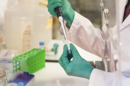 CANCER RESEARCH
