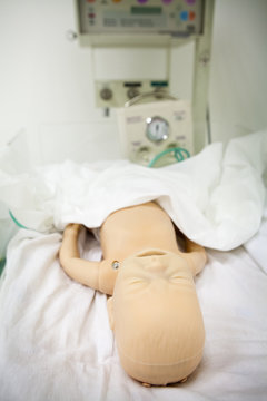 MANIKIN SIMULATION