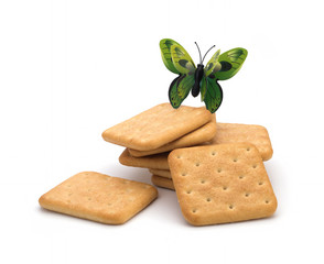 Cracker isolated on white