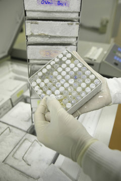 STEM CELL RESEARCH