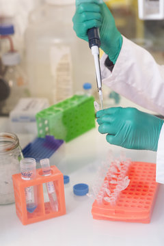CANCER RESEARCH