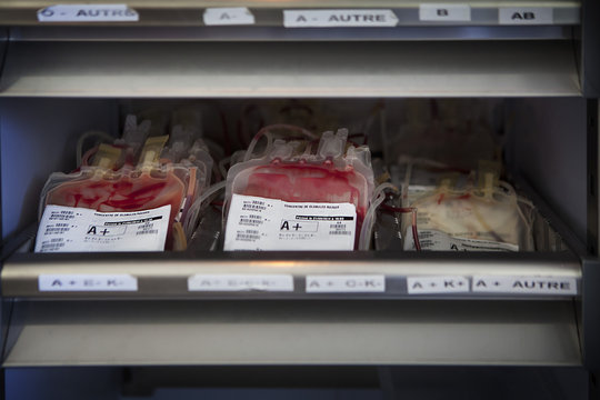 BLOOD STOCK