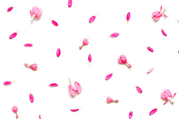 composition of pink petals and heart shaped buds