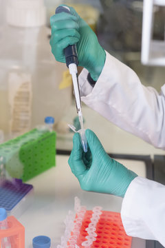 CANCER RESEARCH