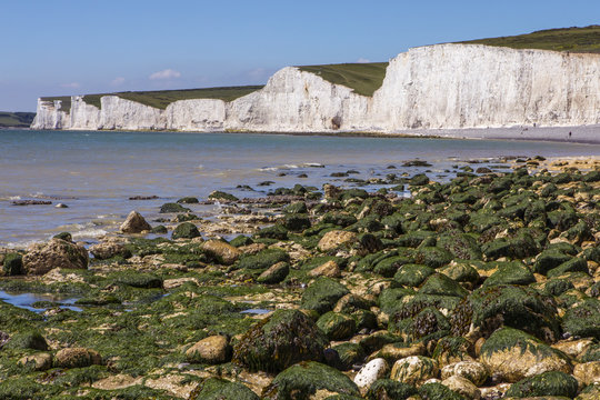Seven Sisters Chalk Cliffs in East Sussex
