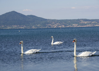 Lago di Bracciano (Lazio)