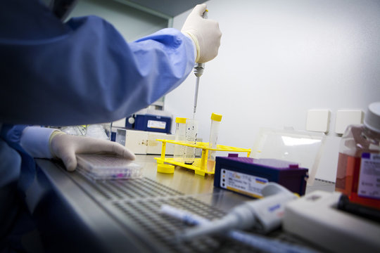 CANCER RESEARCH
