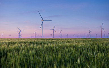Group of windmills for electric power production in the green field of wheat