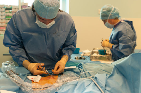 GYNECOLOGICAL SURGERY