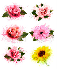 Set of greeting cards with defferent flowers. Vector