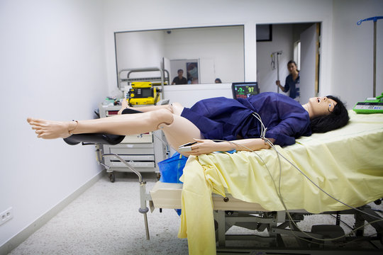 MANIKIN SIMULATION
