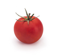 Cherry tomato on white background