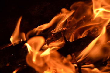 Burning firewood.