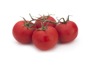 Tomatoes on a branch on a white background