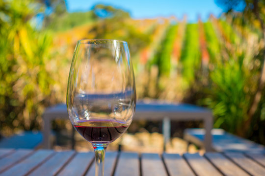 Cup Of Red Wine On Vineyard Background In Waiheke Island In Auckland, In A Beautiful Blue Sky In Summer Time