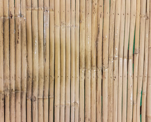 Bamboo fence sticks is arranged a background
