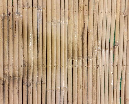 Bamboo fence sticks is arranged a background
