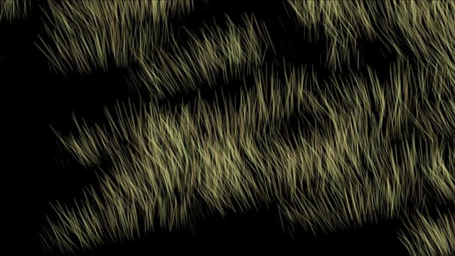 4k Wind breeze blowing grassland,meadow prairie pasture wheat barley food agriculture wilderness background.