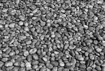 Black  and white  pebble stone background
