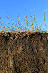 Erosion of the Soil