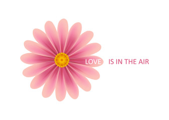 Love is in the air with floral theme