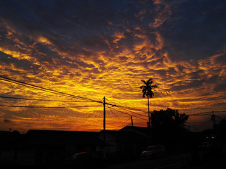 Obraz premium Sunset 