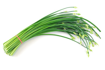 fresh chive flower in a bunch isolated on white background - obrazy, fototapety, plakaty