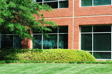 close up on company building exterior with green tree and lawn in front