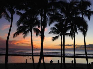 beautiful sunset of Waikiki beach with palm trees, HAWAII