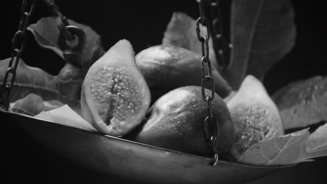 Ficus carica &Sigma;&upsilon;&kappa;&iota;ά Echte Թուզ Feige Fichi 무화과나무 अंजीर Obična انجیر smokva תאנה Vijgenboom Figowiec Fiku pospolity Common fig Инжир Figs Figos Vả t&acirc;y 無花果 Video İncir تين شائع Fico