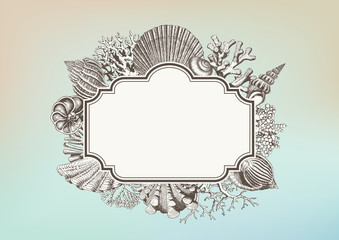 blank label with a frame consisting of retro sea shell and coral illustrations against a pastel colored summer / beach gradient background
