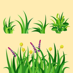 Green grass nature design elements vector illustration isolated grow agriculture nature background