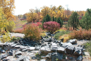 nature,trees,forest,fall,leaves,autumn,water,colorful,yellow,orange