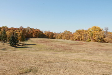 Fototapeta premium nature,trees,forest,fall,leaves,autumn,water,colorful,yellow,orange