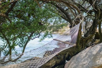 White cradle tied beach beach tree