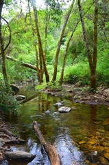 Creek (Auburn, CA)