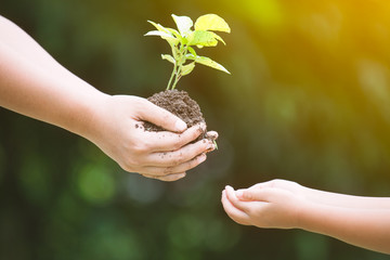 Mother's hand giving young tree to a child for planting together in vintage color tone