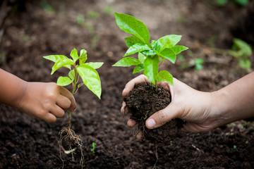 Child and parent hand planting young tree on black soil together as save world concept
