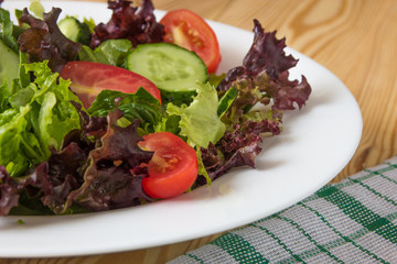 Fresh salad with mixed greens, cherry tomato and cucumber